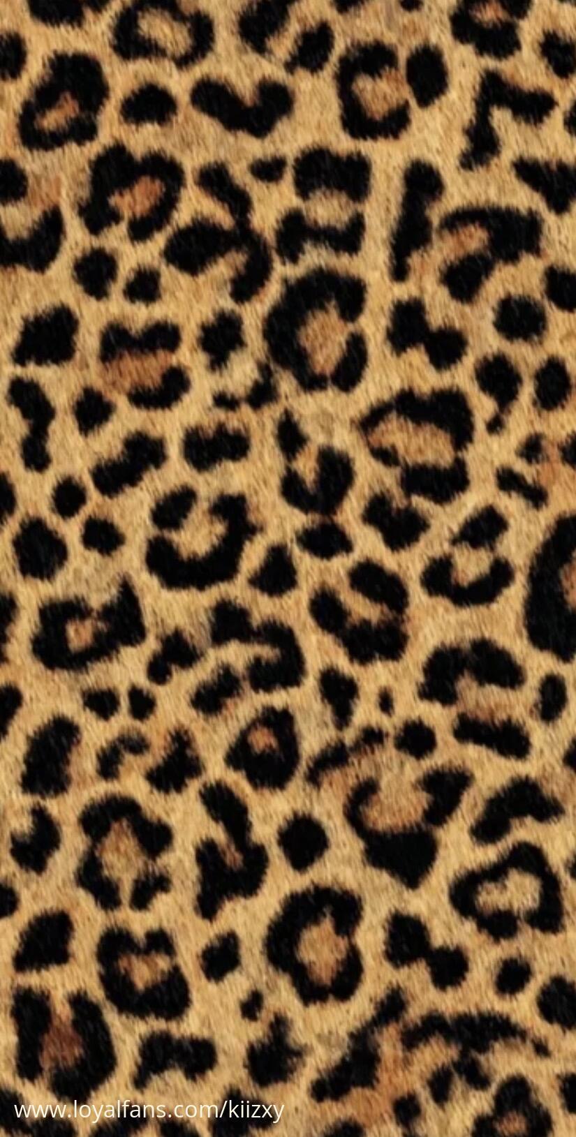 default cover