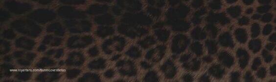 default cover
