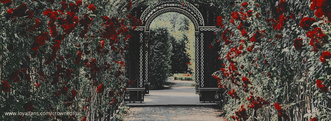 default cover