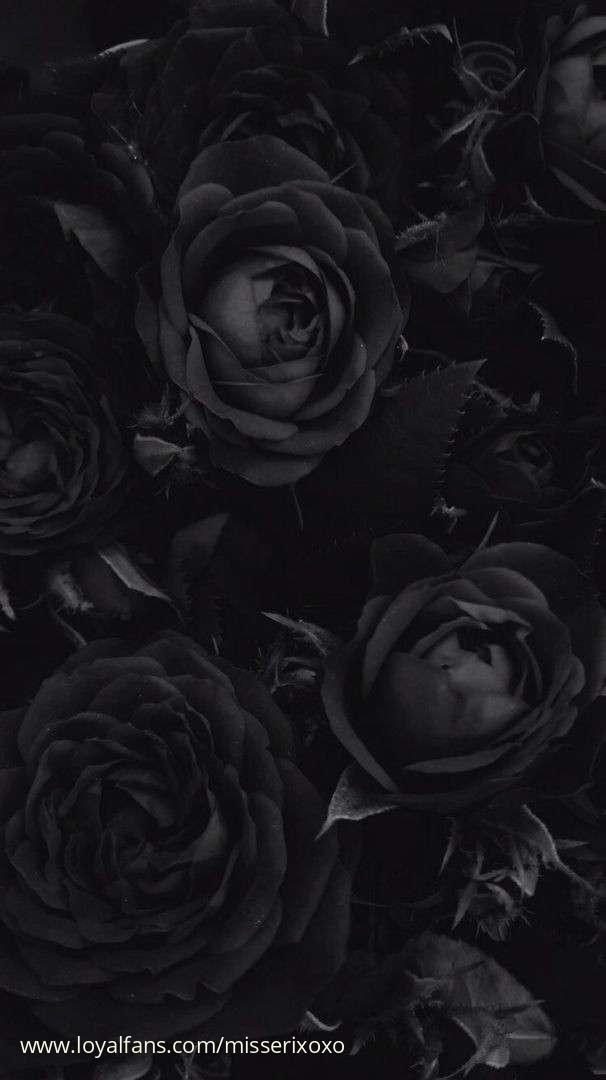 default cover