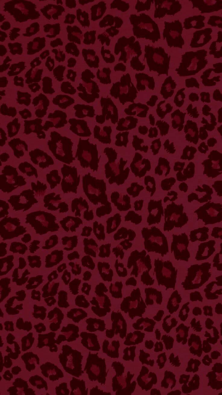 default cover