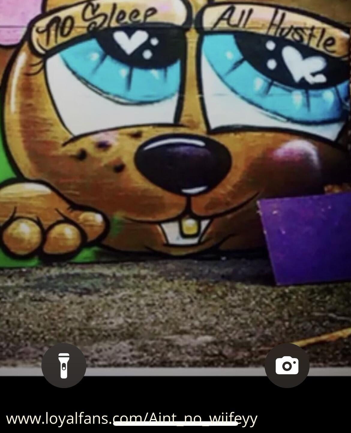 default cover