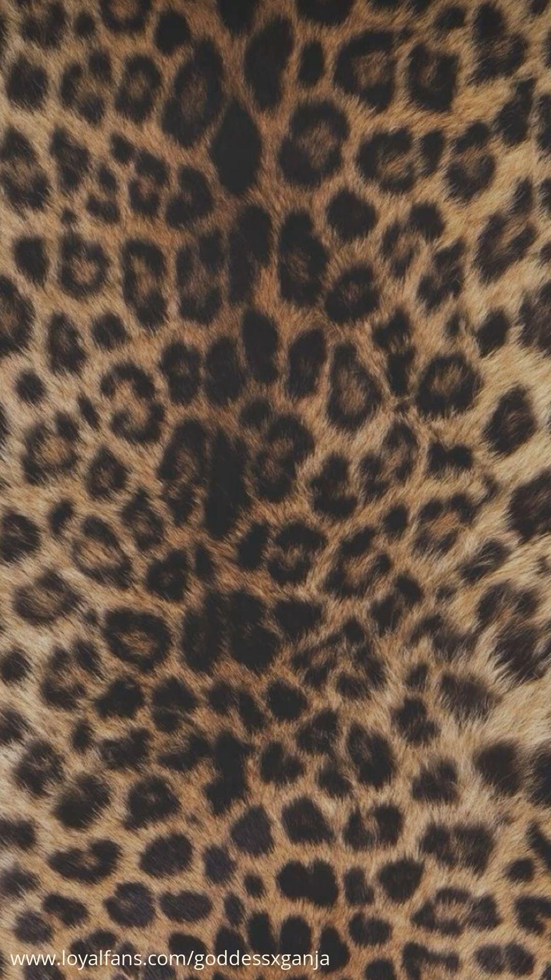 default cover