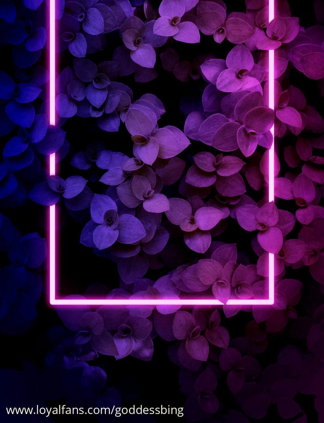 default cover